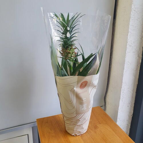 review-photo-before