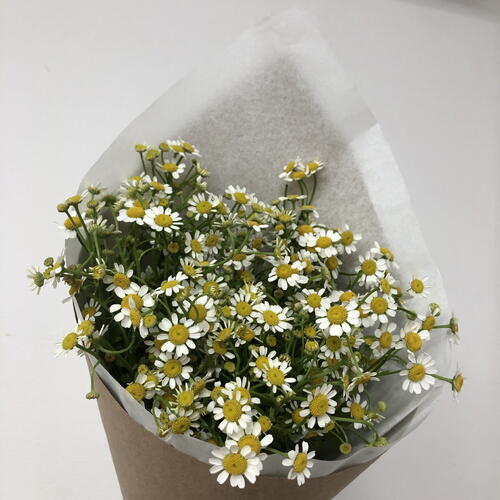 review-photo-before
