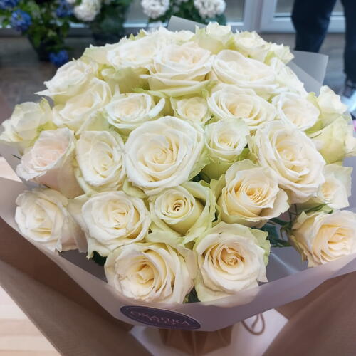 review-photo-before