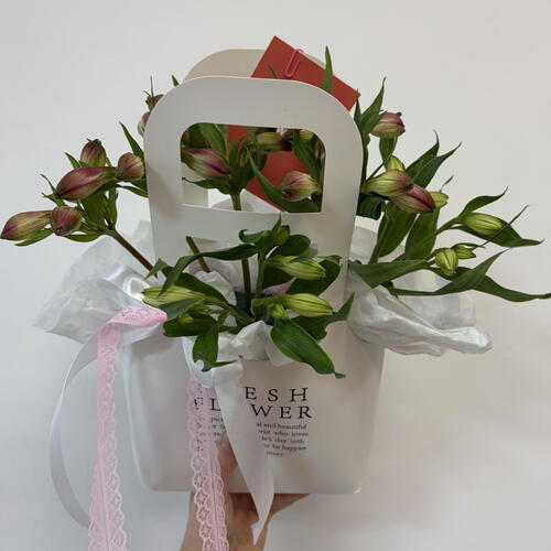 review-photo-before