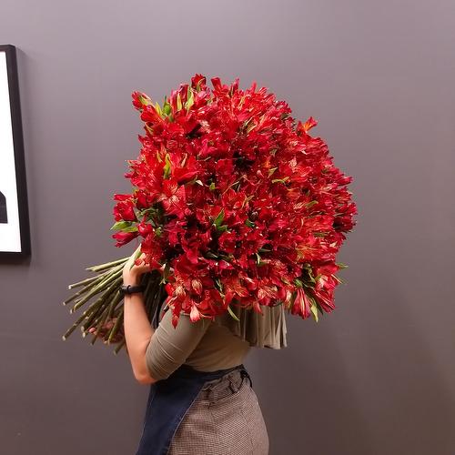 review-photo-before