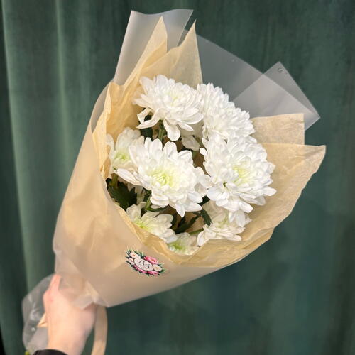review-photo-before