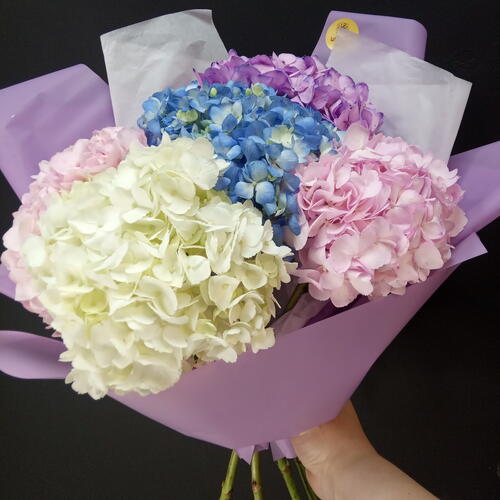 review-photo-before