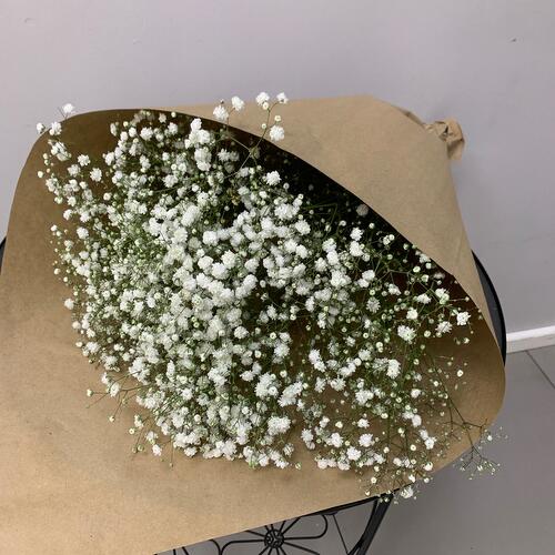review-photo-before