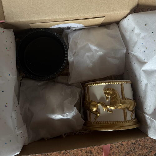 review-photo-before