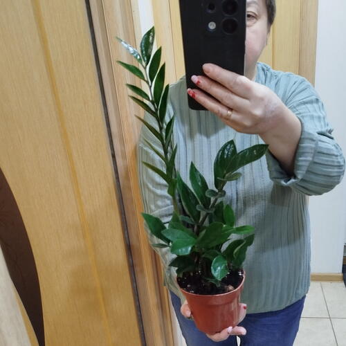 review-photo-before