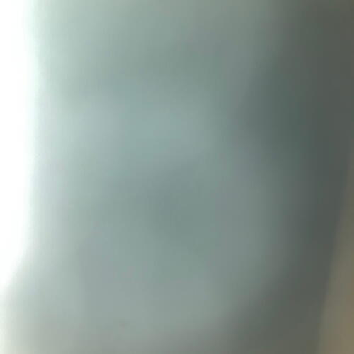review-photo-before