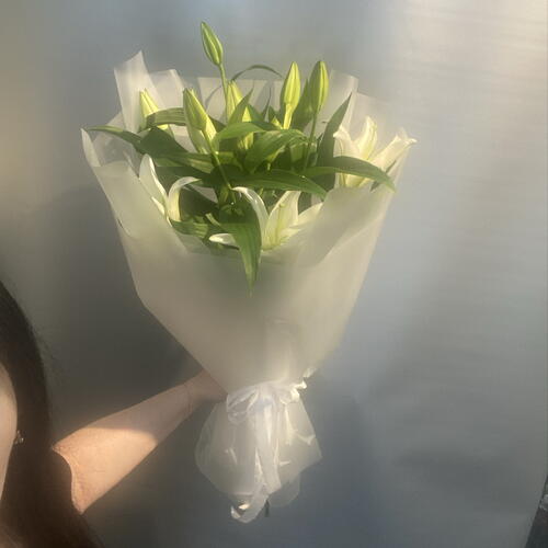 review-photo-before