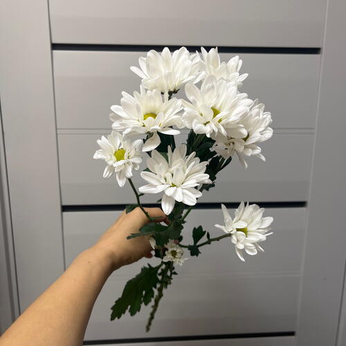 review-photo-before