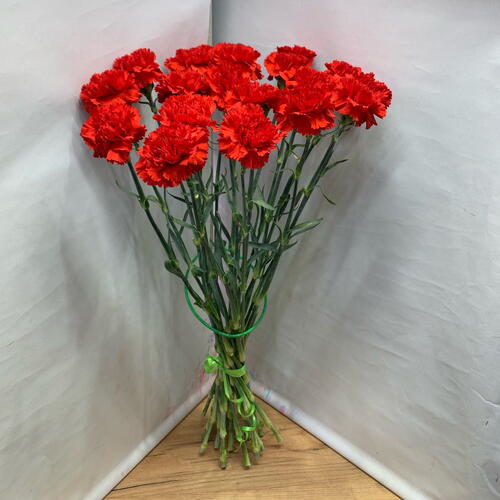 review-photo-before