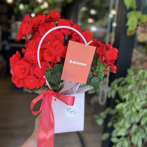 review-photo-before