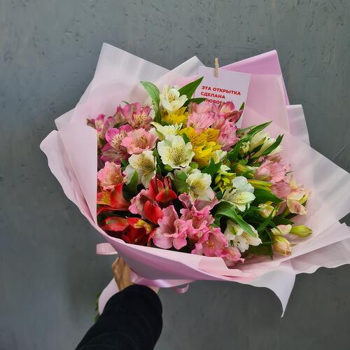 review-photo-before