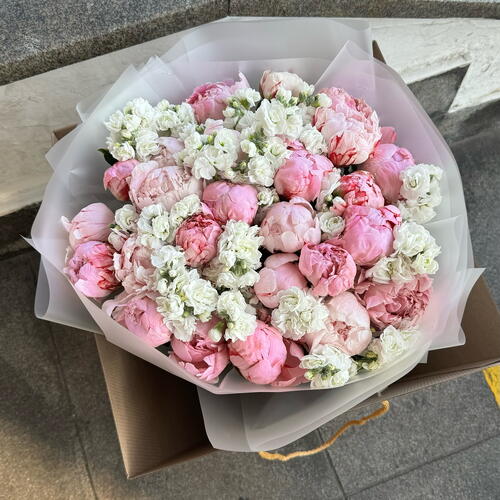 review-photo-before