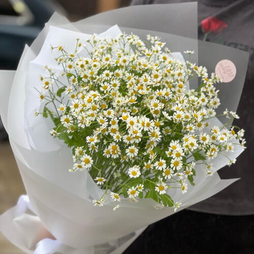 review-photo-before