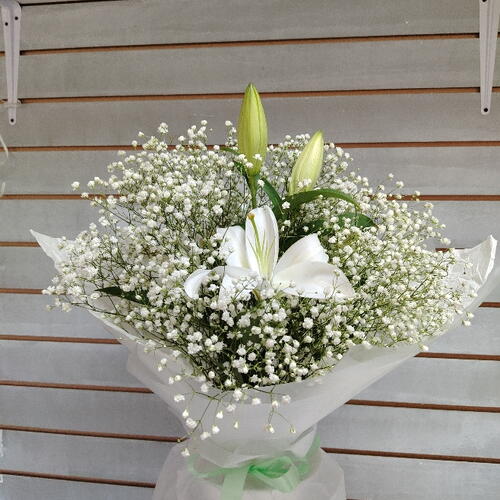 review-photo-before