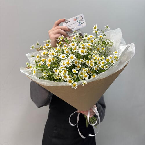 review-photo-before