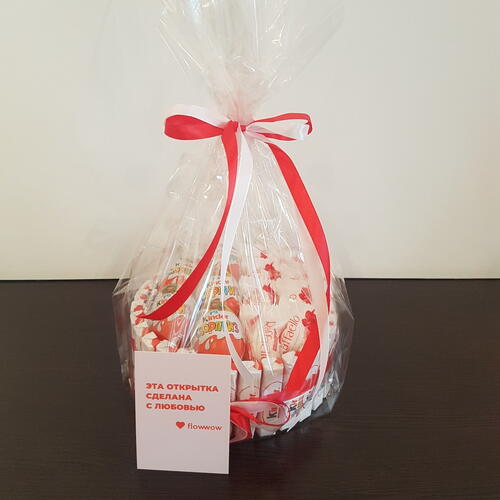 review-photo-before