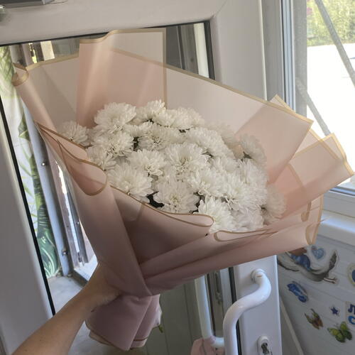 review-photo-before
