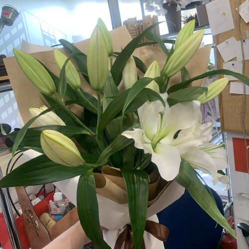 review-photo-before