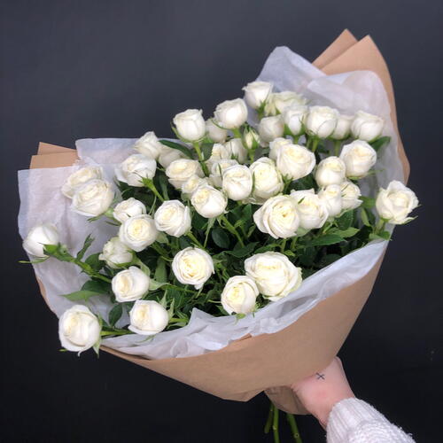 review-photo-before