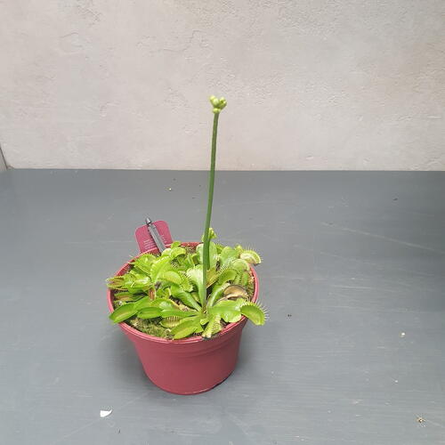 review-photo-before