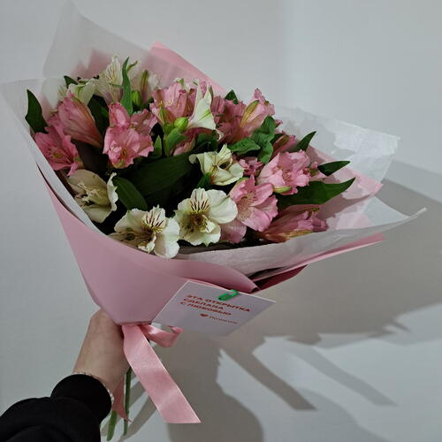 review-photo-before