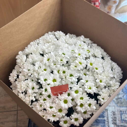review-photo-before
