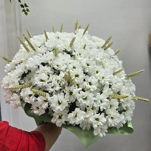review-photo-before