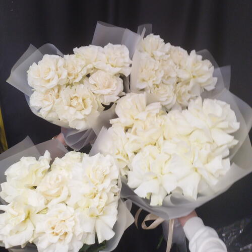 review-photo-before