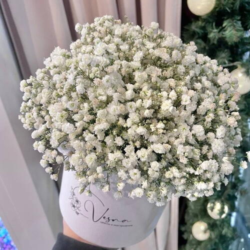 review-photo-before