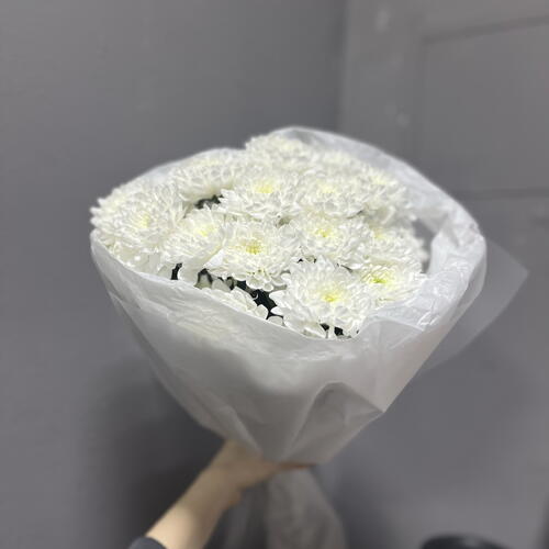 review-photo-before