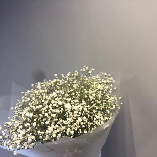 review-photo-before