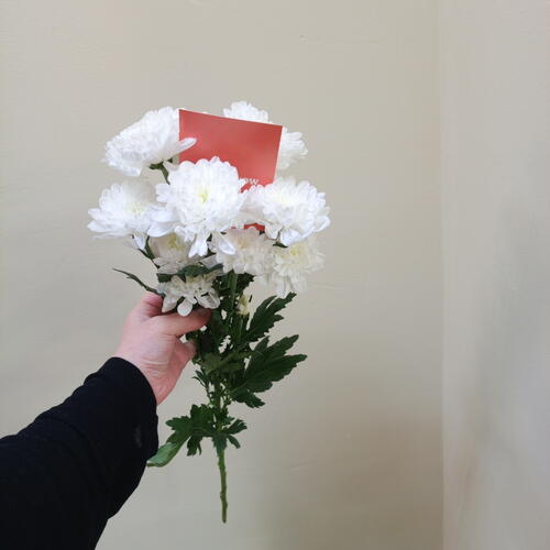 review-photo-before