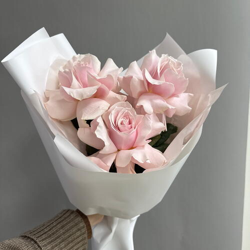 review-photo-before