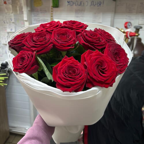 review-photo-before