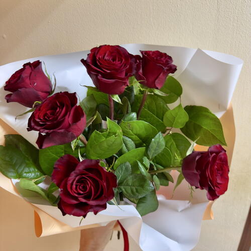 review-photo-before
