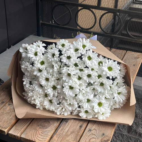 review-photo-before