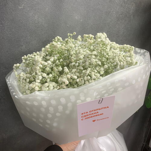 review-photo-before