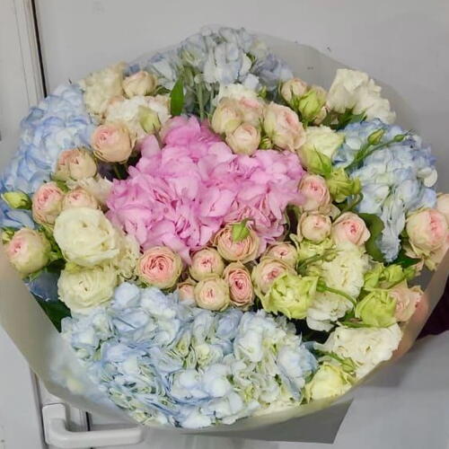 review-photo-before