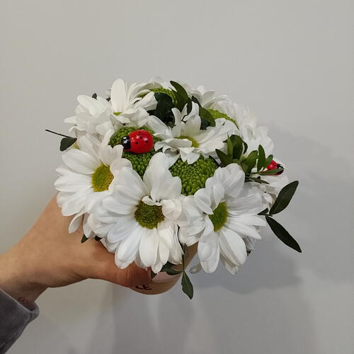 review-photo-before