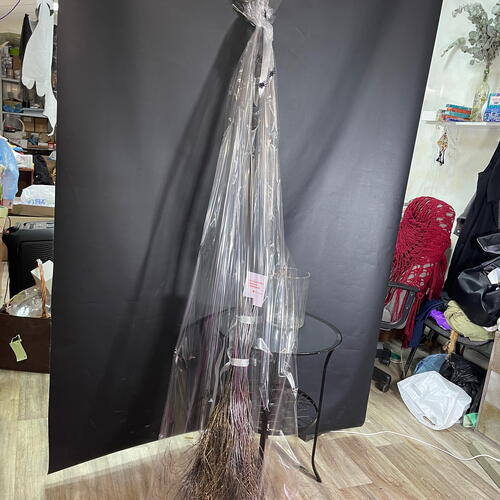 review-photo-before