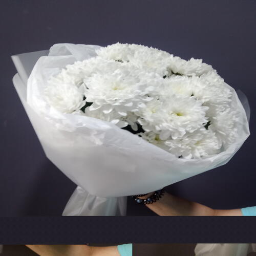 review-photo-before