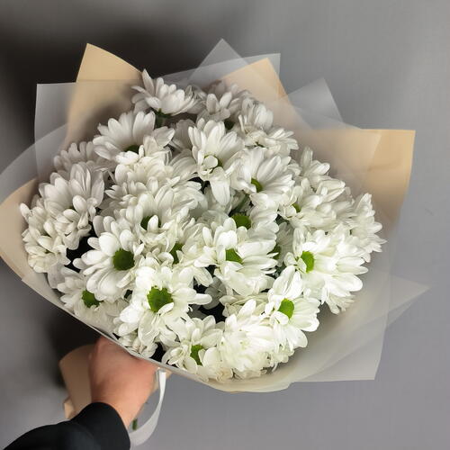 review-photo-before