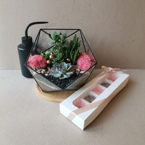 review-photo-before
