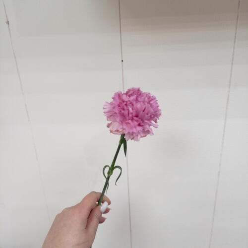 review-photo-before