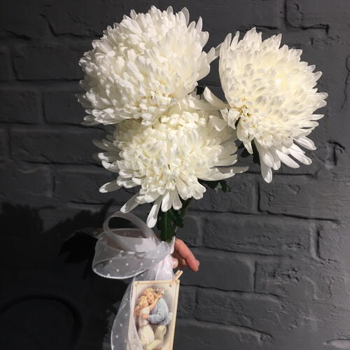 review-photo-before