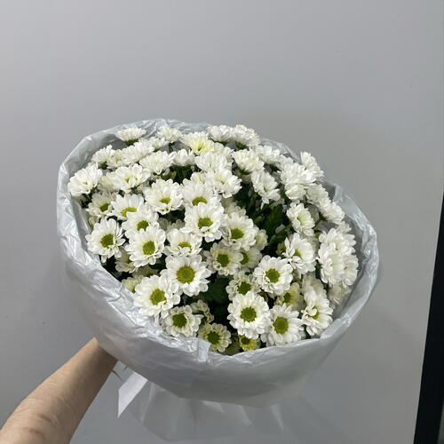 review-photo-before