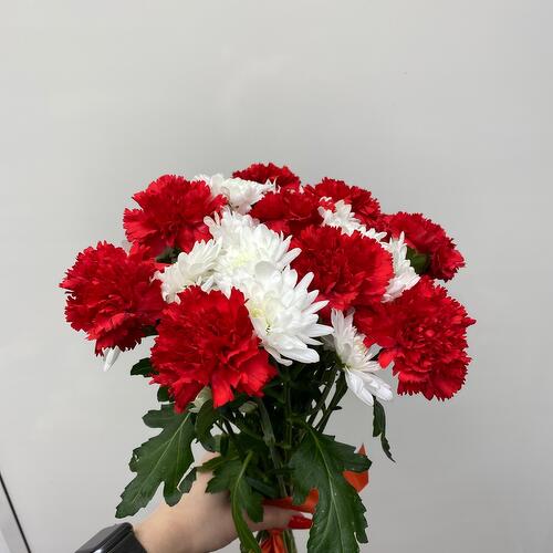 review-photo-before