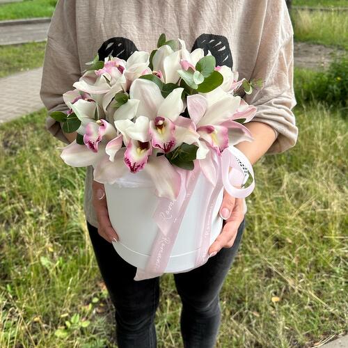 review-photo-before