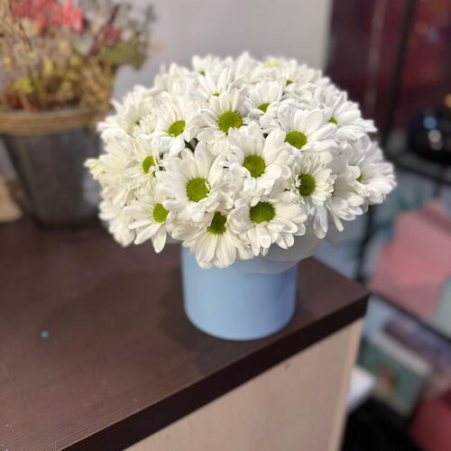 review-photo-before